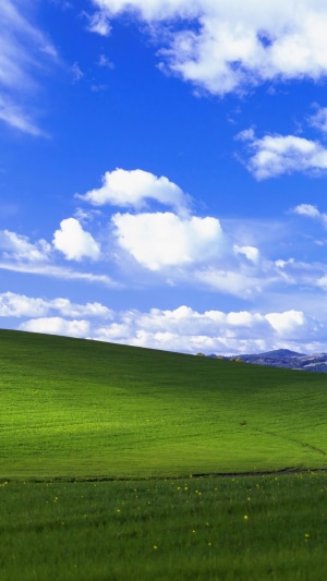 Windows XP Bliss wallpaper
