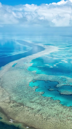 Aerial view of a coral reef in the ocean