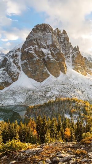 Snow-capped mountain overlooking a lake and forest in Canada