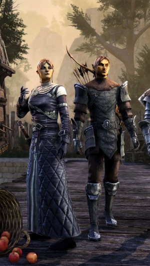 Two characters from The Elder Scrolls Online