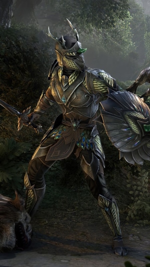 Wood Elf warrior in ornate armor from The Elder Scrolls Online