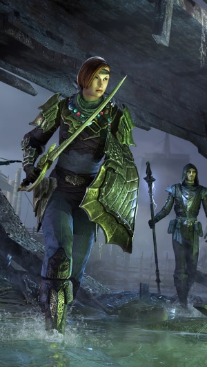The Elder Scrolls Online characters in armor