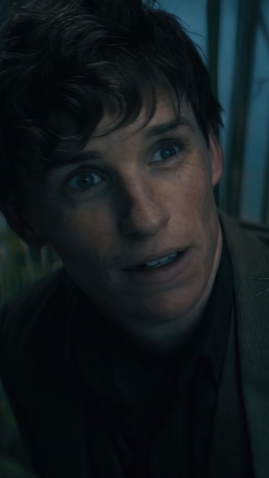 Newt Scamander from Fantastic Beasts The Secrets of Dumbledore