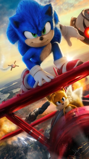 Sonic and Tails from Sonic the Hedgehog 2