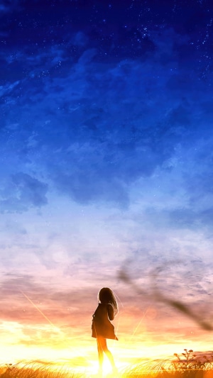 Anime girl watching the sunset in a field