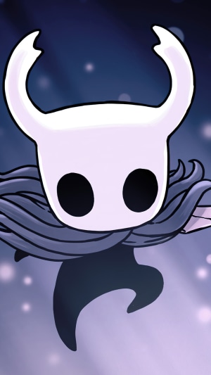 The Knight from Hollow Knight