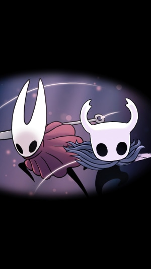 Hornet and the Knight from Hollow Knight