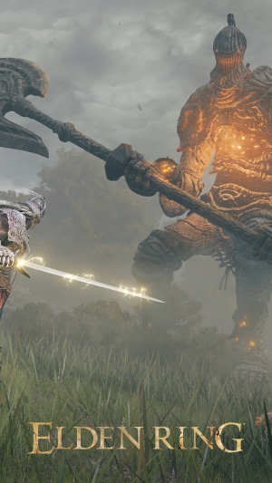 Elden Ring: Giant warrior with axe fights a knight with sword