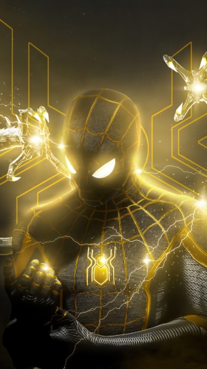Spider-Man from Spider-Man No Way Home