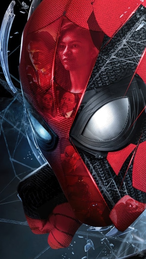Spider-Man from Spider-Man No Way Home