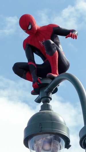 Spider-Man from Spider-Man No Way Home