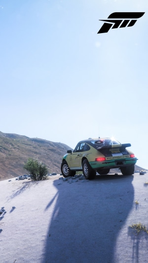 Forza Horizon 5 Porsche Rally Car