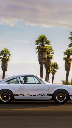 White Porsche 911 Carrera driving on a road with palm trees