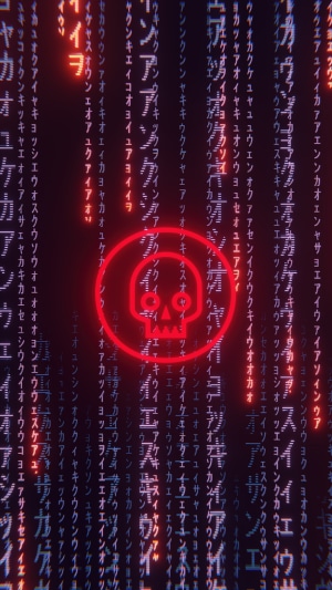 Digital Matrix Skull
