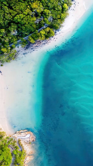 Aerial view of a tropical coastline with lush forest and turquoise water