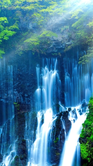 Waterfall cascading through a rocky forest