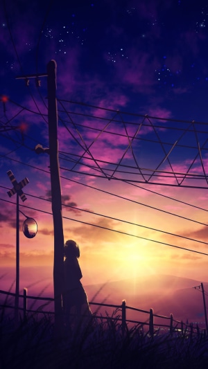 Anime silhouette against a vibrant sunset sky