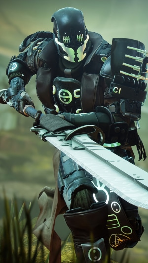 Guardian from Destiny 2 with a sword