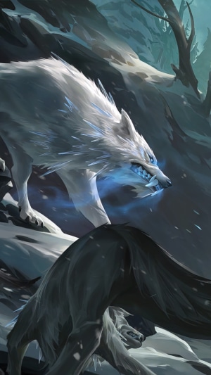 Two wolves, one white and one black, in a snowy forest