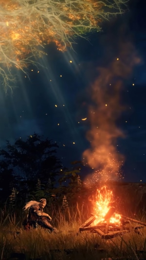 Tarnished by a Bonfire in Elden Ring
