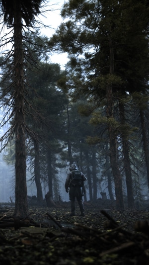 S.T.A.L.K.E.R. 2: Heart of Chernobyl, person in forest