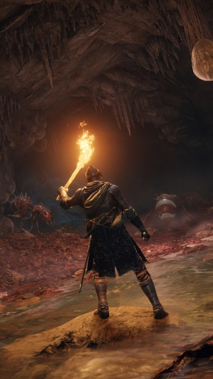 Elden Ring character in a dark cave with a torch