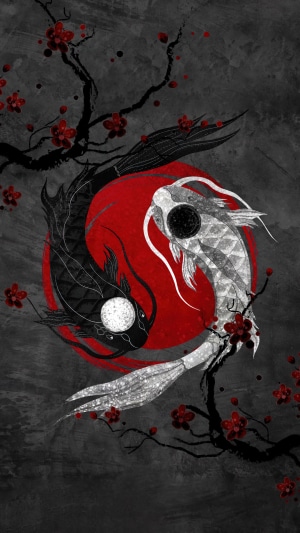 Yin Yang Koi with Cherry Blossoms
