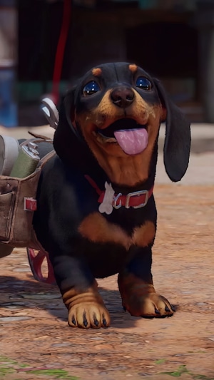 Chorizo from Far Cry 6