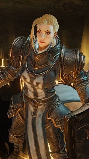 Crusader from Diablo Immortal