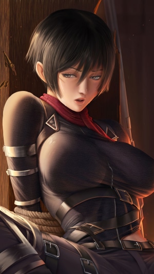 Mikasa Ackerman from Attack on Titan