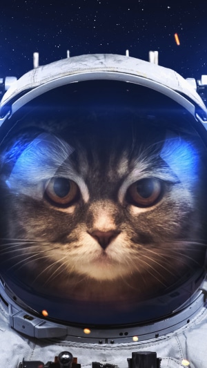 Cat astronaut in space