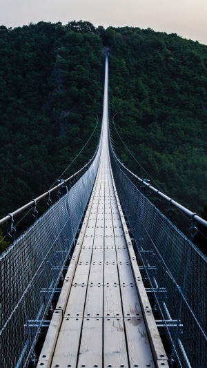 Suspension bridge over a forested mountain