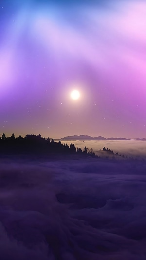 Moonlit Foggy Mountains with Forest and Stars
