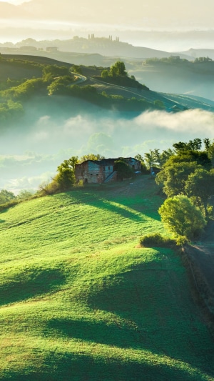Rolling hills with a farmhouse and mist at sunrise