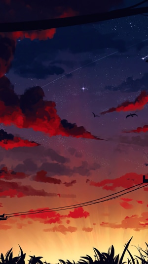 Sunset with clouds and stars over silhouetted grass