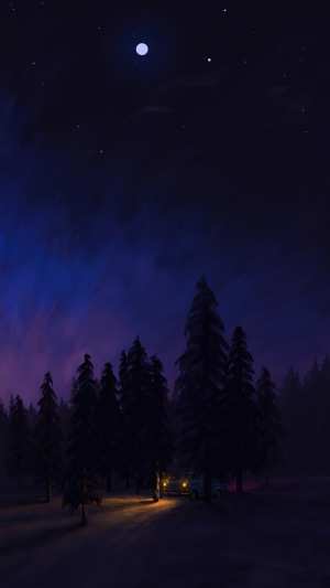 Night sky over a forest with a car