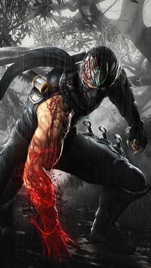 Ryu Hayabusa from Ninja Gaiden