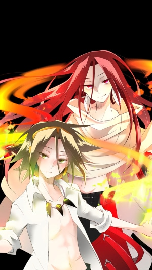 Hao and Yoh Asakura from Shaman King