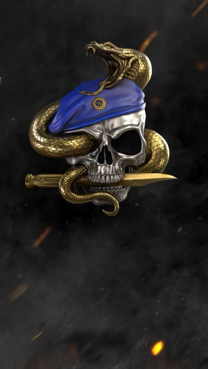 Skull with snake and dagger from Call of Duty