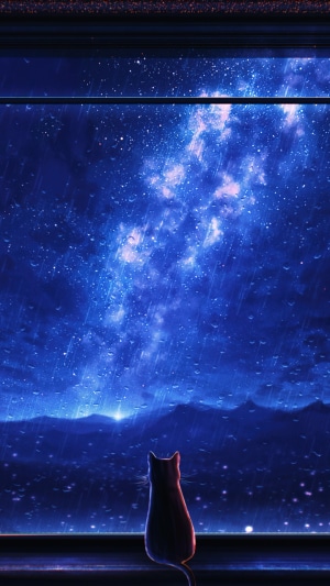 Stargazing, Cat, Starry, Stars, Night, Sky, Anime HD Phone Wallpaper