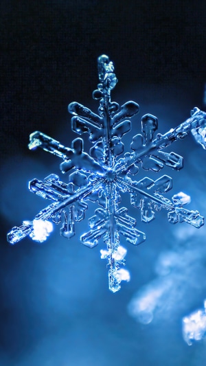 Close-up of a detailed blue snowflake