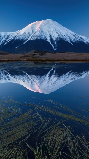 Snow-capped mountain reflected in a lake with aquatic plants