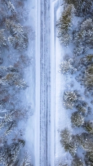 Aerial view of a snow-covered road through a winter forest