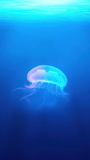 A bioluminescent jellyfish floats in deep blue water