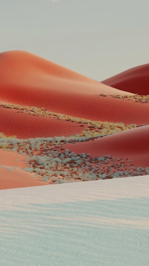 Desert landscape with sand dunes and sparse vegetation