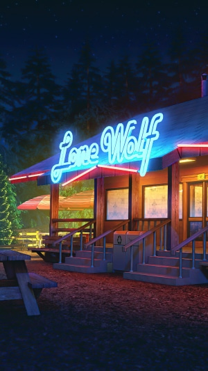 Lone Wolf diner at night