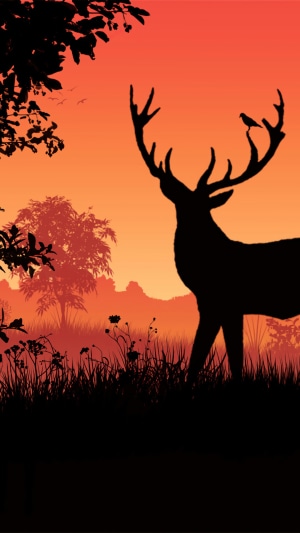 Deer silhouette against a sunset with a bird on its antlers