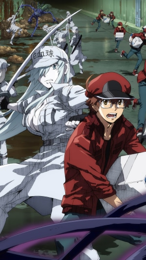 White Blood Cell and Red Blood Cell from Cells at Work! Code Black