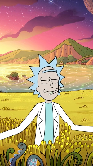 Rick Sanchez from Rick and Morty in a field