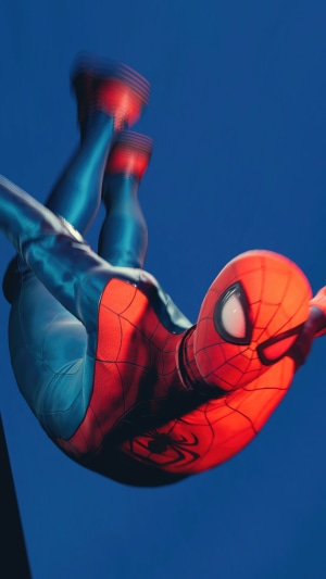 Spider-Man in blue and red suit